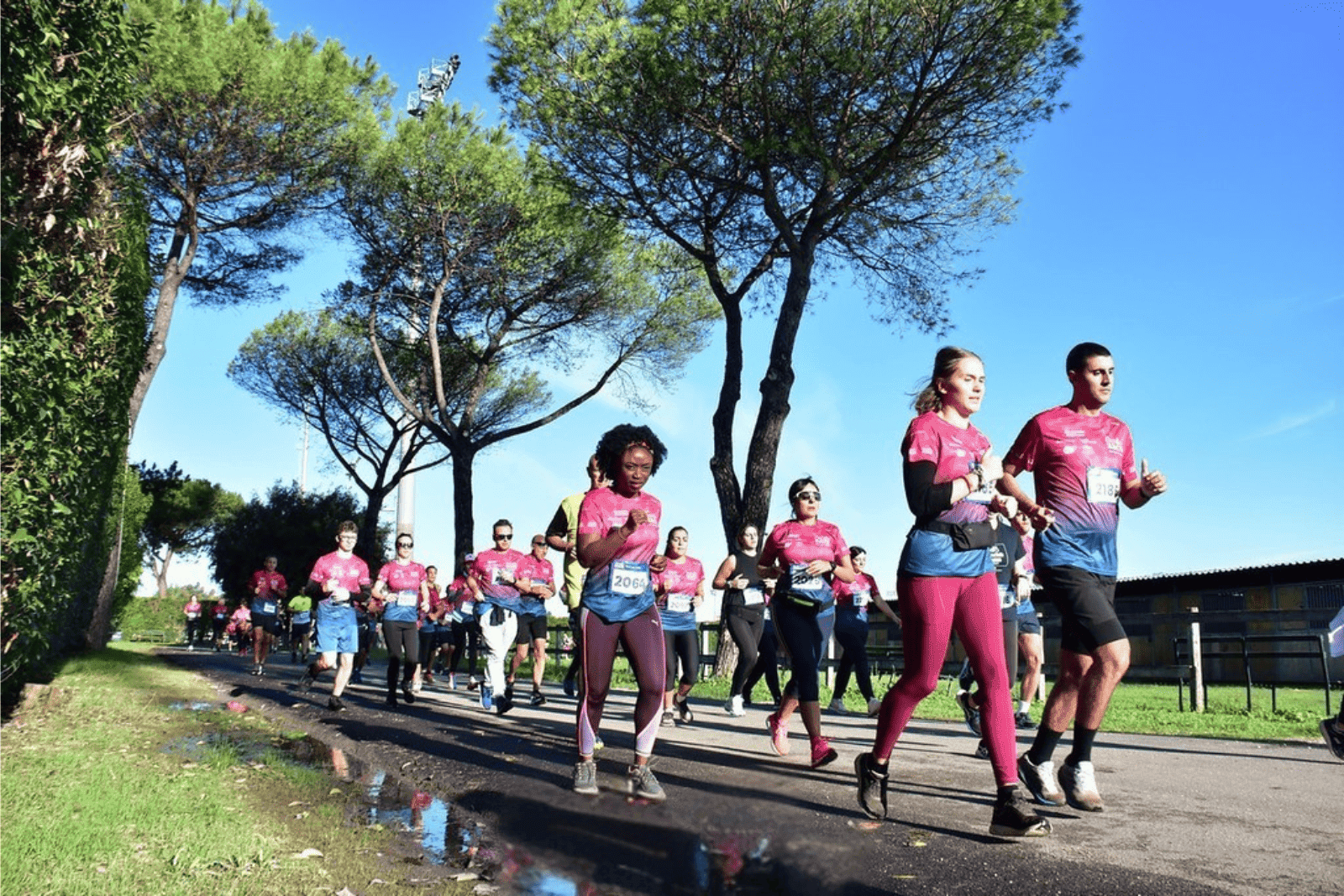 Cardio Race 2024 — foto 4: gara podistica e Villaggio della Salute all’Ippodromo delle Capannelle, Roma